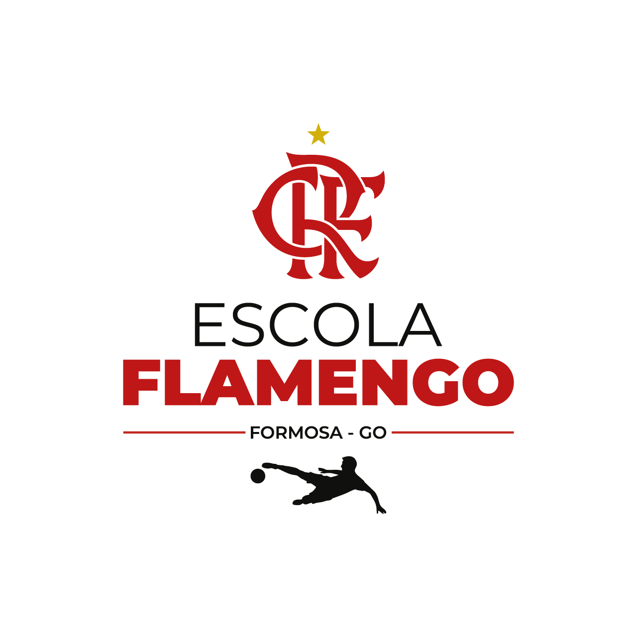 02-Escola Flamengo - Formosa-GO em Branco SEM FUNDO.png