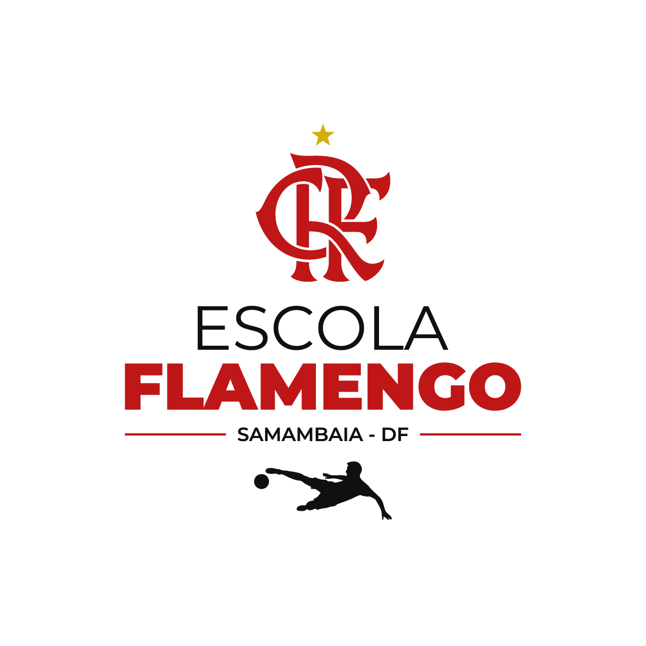 02-Escola Flamengo - Samambaia - DF em Branco SEM FUNDO.png